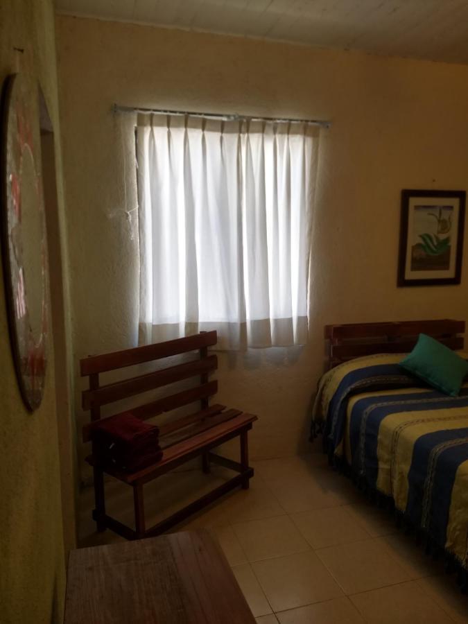 Tu Casa Oaxaca... Hotel Ngoại thất bức ảnh