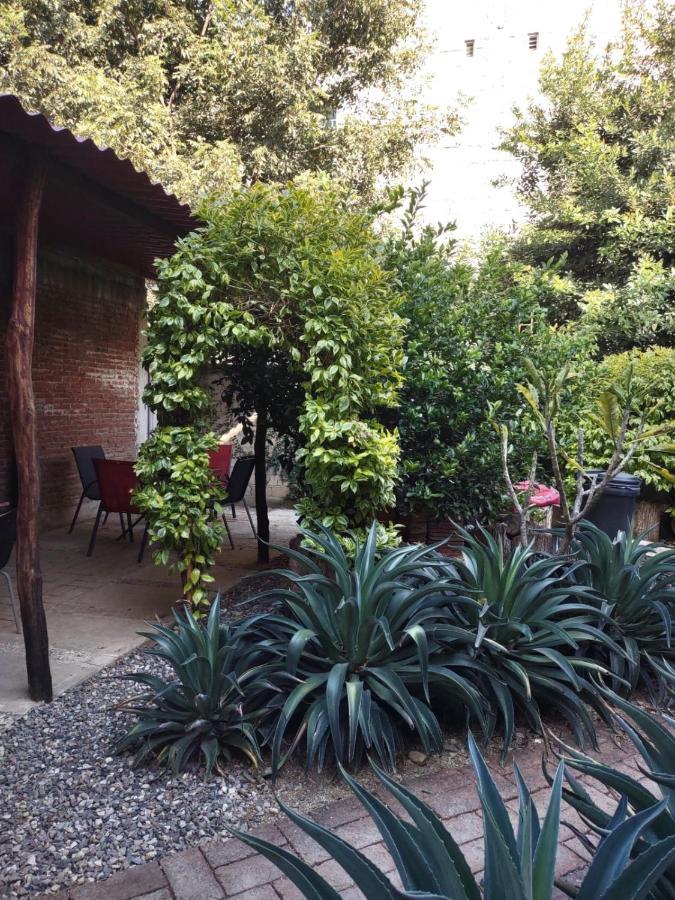 Tu Casa Oaxaca... Hotel Ngoại thất bức ảnh