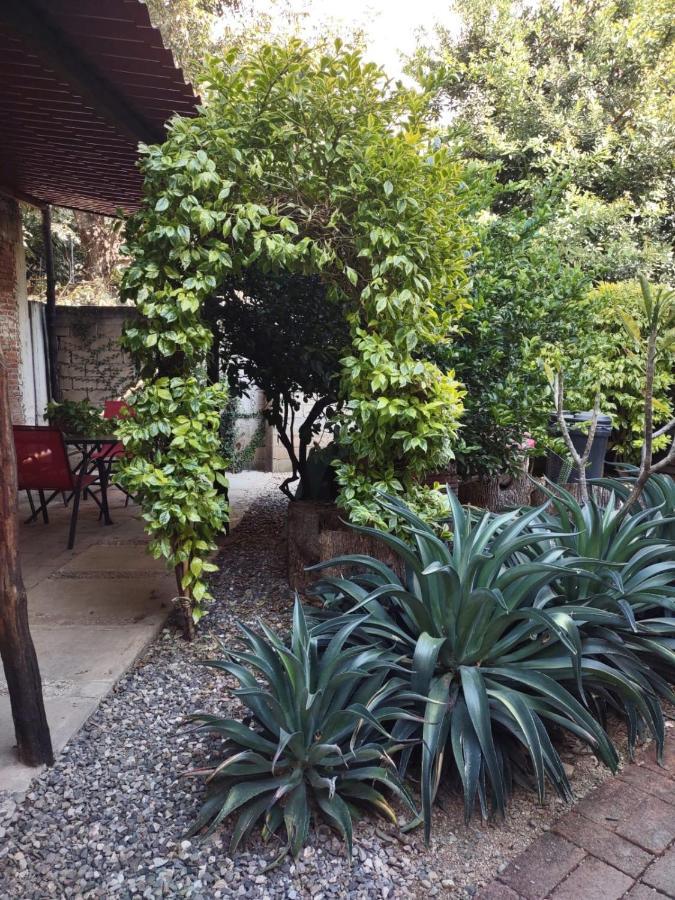 Tu Casa Oaxaca... Hotel Ngoại thất bức ảnh