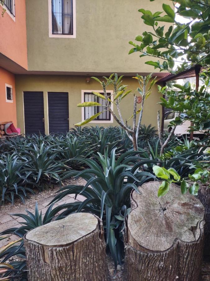 Tu Casa Oaxaca... Hotel Ngoại thất bức ảnh